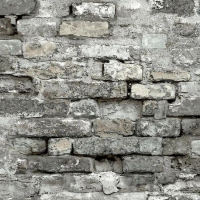 Бумажные обои на бумажной основе York Modern Art 0.52x10.05 арт.UC3836