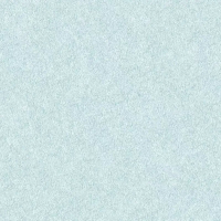 Виниловые обои на флизелиновой основе Alessandro Allori Four Seasons 1.06x10 арт.RST1607-5