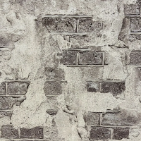 Виниловые обои на флизелиновой основе Wiganford Milenium №1 1.06x10.05 арт.SAK2754