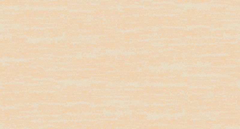 Обои INS8 003 Loymina Amazonia 1,00 x 10,05