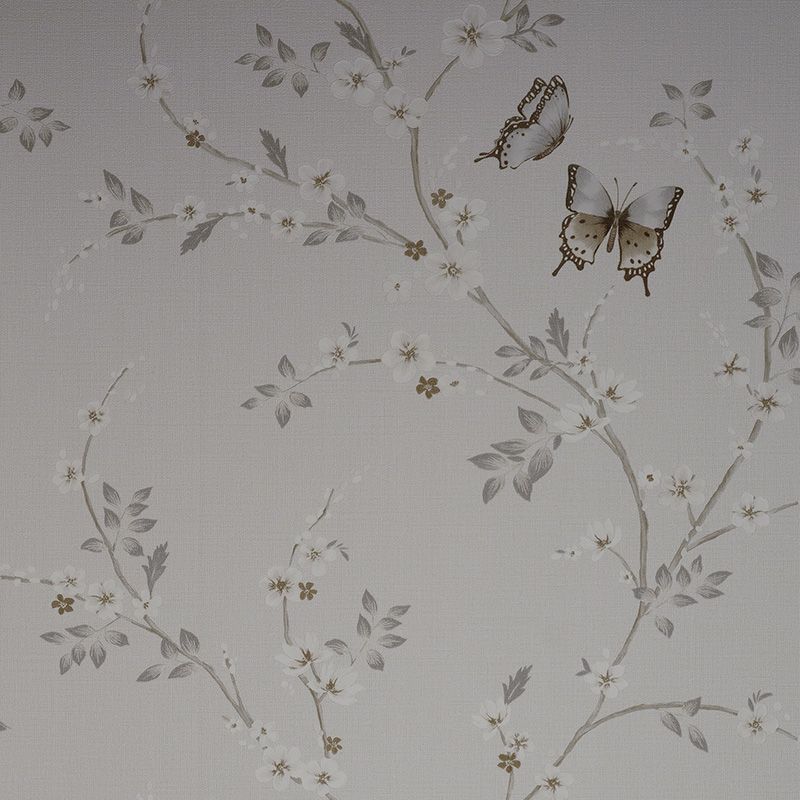 54460-1 Andrea Rossi Spectrum Box 1,06 x 10,05