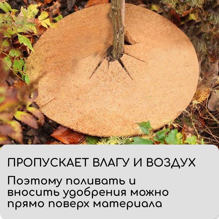 Стволовой круг из кокосового волокна 17 см/PLANT!T