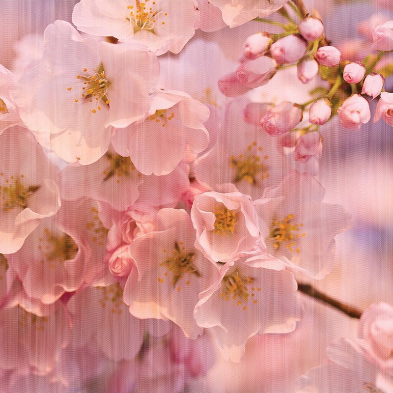 Обои DFL-004 Loymina Illusion II