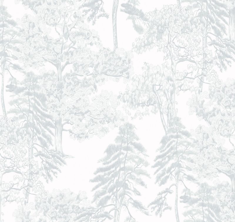 Флизелиновые обои Milassa Ambient vol.4 (Ambiplain 4) Am5 001/2 для стен