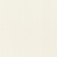 Виниловые обои на флизелиновой основе Rasch Gentle Elegance 1.06x10.05 арт.980301