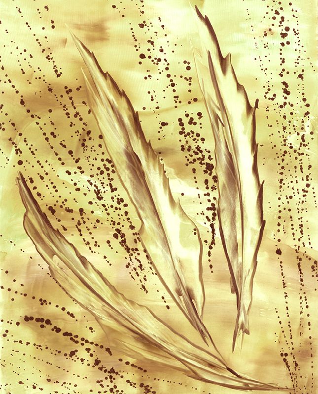 Encautica ENC_010_col3