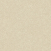 Виниловые обои на флизелиновой основе Rasch Gentle Elegance 1.06x10.05 арт.977127