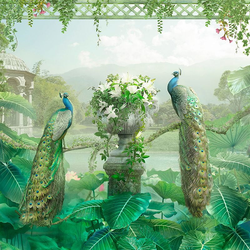 Фреска Современный Графический Дизайн 44521