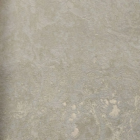 Виниловые обои на флизелиновой основе Wiganford Milenium №1 1.06x10.05 арт.AK2642