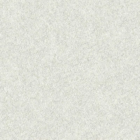 Виниловые обои на флизелиновой основе Alessandro Allori Four Seasons 1.06x10 арт.RST1607-1