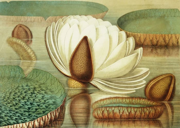 Фреска Сюжеты Натюрморт арт. f_046