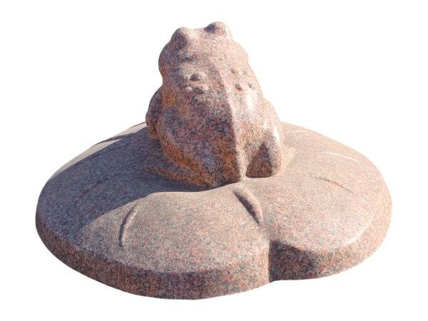 Лягушонок Коричневый