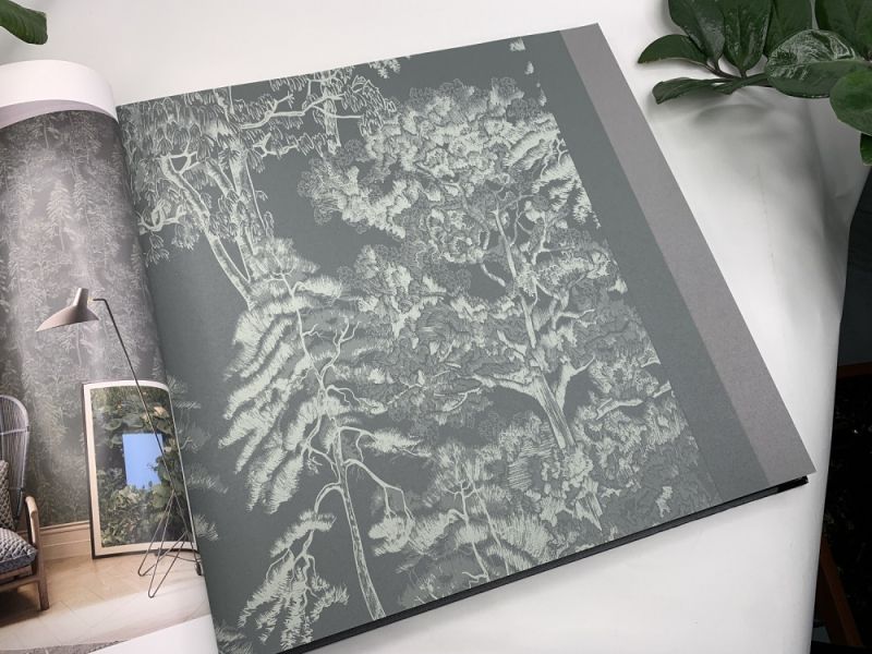 Флизелиновые обои Milassa Ambient vol.4 (Ambiplain 4) Am5 008 для стен