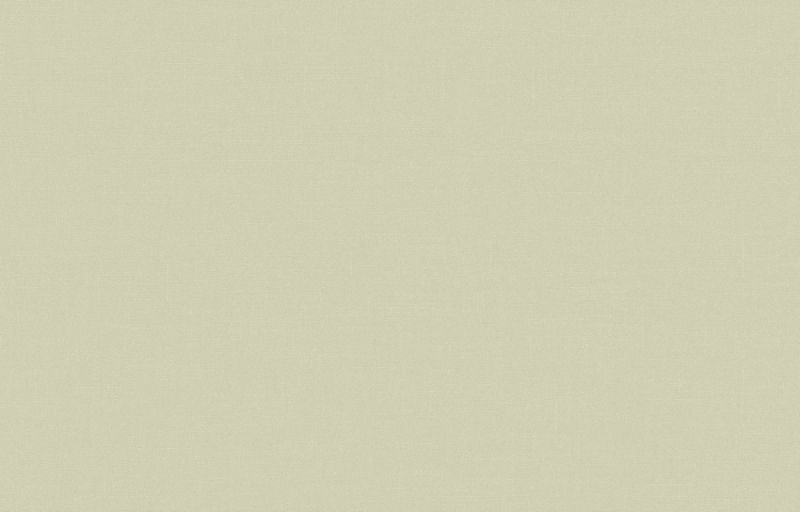 Флизелиновые обои Loymina Textile TXL3 005/2 для стен