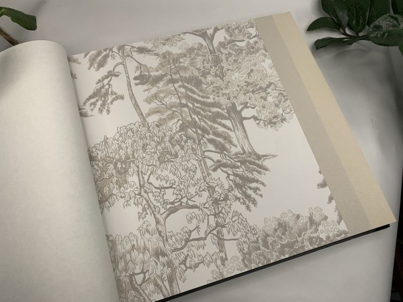 Флизелиновые обои Milassa Ambient vol.4 (Ambiplain 4) Am5 002/2 для стен