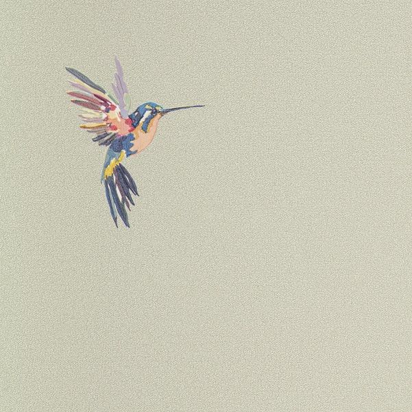 54356-5 Andrea Rossi Spectrum+ 1,06 x 10,05