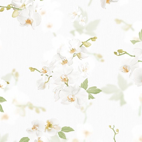 54342-1 Andrea Rossi Stromboli 1,06 x 10,05