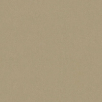 Флизелиновые обои Architects Paper Floral Impression 0.53x10.05 арт.37748-5