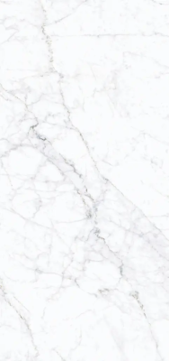 Керамогранит Simpolo Carrara Fogg 59,8х119,8