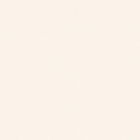 54329-2 Andrea Rossi Nisida 1,06 х 10,05