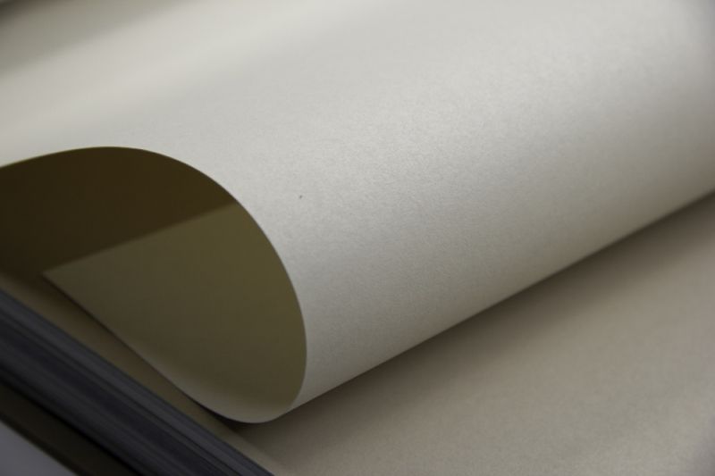 Флизелиновые обои Loymina Lotus Universe LOT2 205 метровые