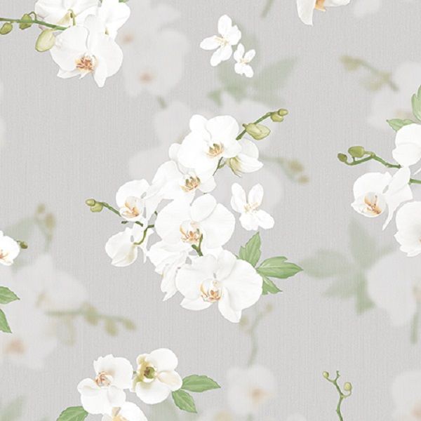 54342-5 Andrea Rossi Stromboli 1,06 x 10,05