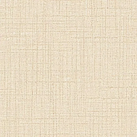 Виниловые обои на флизелиновой основе Alessandro Allori Dolce Vita 1.06x10 арт.2405-6RDV