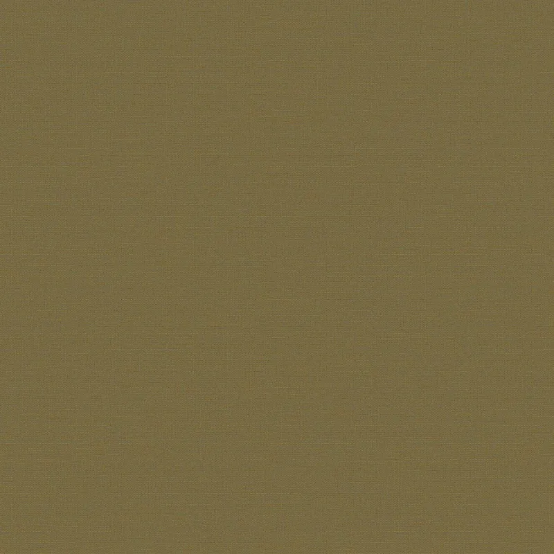 Флизелиновые обои Loymina Equator 1x10.05 арт.QTR8005