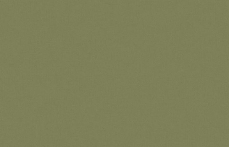 Обои ALS10 005/2 Loymina Origins 1,00 x 10,05