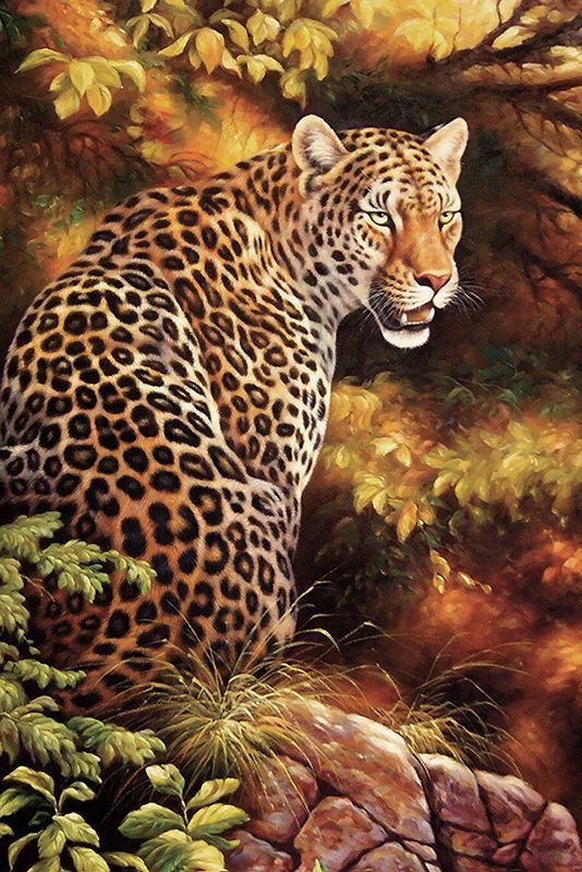 Обои DA-005 Loymina Illusion II