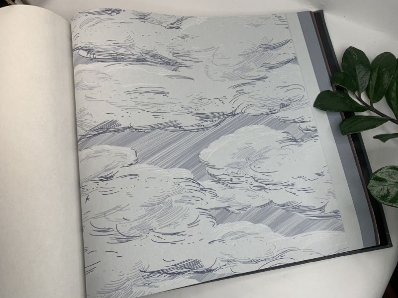 Флизелиновые обои Milassa Ambient vol.3 (Ambiplain 3) Am10 006 для спальни