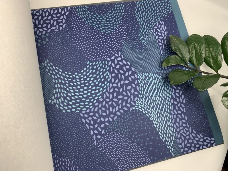 Флизелиновые обои Milassa Bon Voyage D2 018/1 для детской