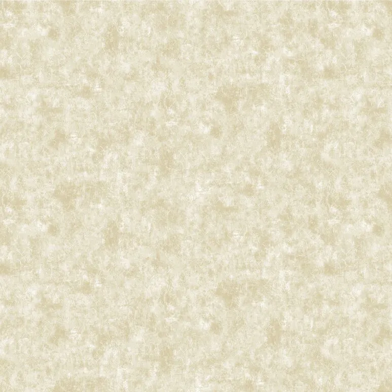 Бумажные обои на бумажной основе Bruno Zoff Gold 1.06x10 арт.60128-3