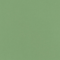 Виниловые обои на флизелиновой основе Rasch Natural Colors 0.53x10.05 арт.537918