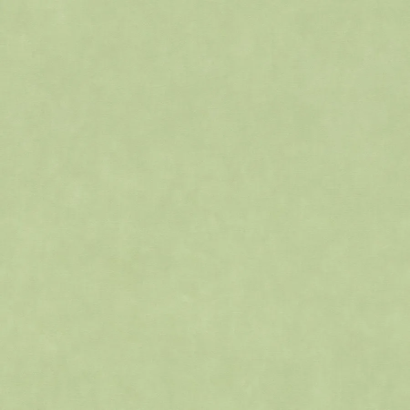 Виниловые обои на флизелиновой основе Rasch Garden 0.53x10.05 арт.330052r