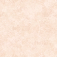 Флизелиновые обои Loymina Stucco 1x10.05 арт.STC5002
