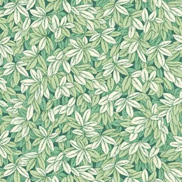 54295-4 Andrea Rossi Barbana 1,06 x 10,05