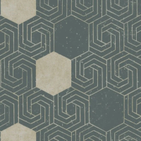 Флизелиновые обои Aura Theory 0.53x10.05 арт.FD25545