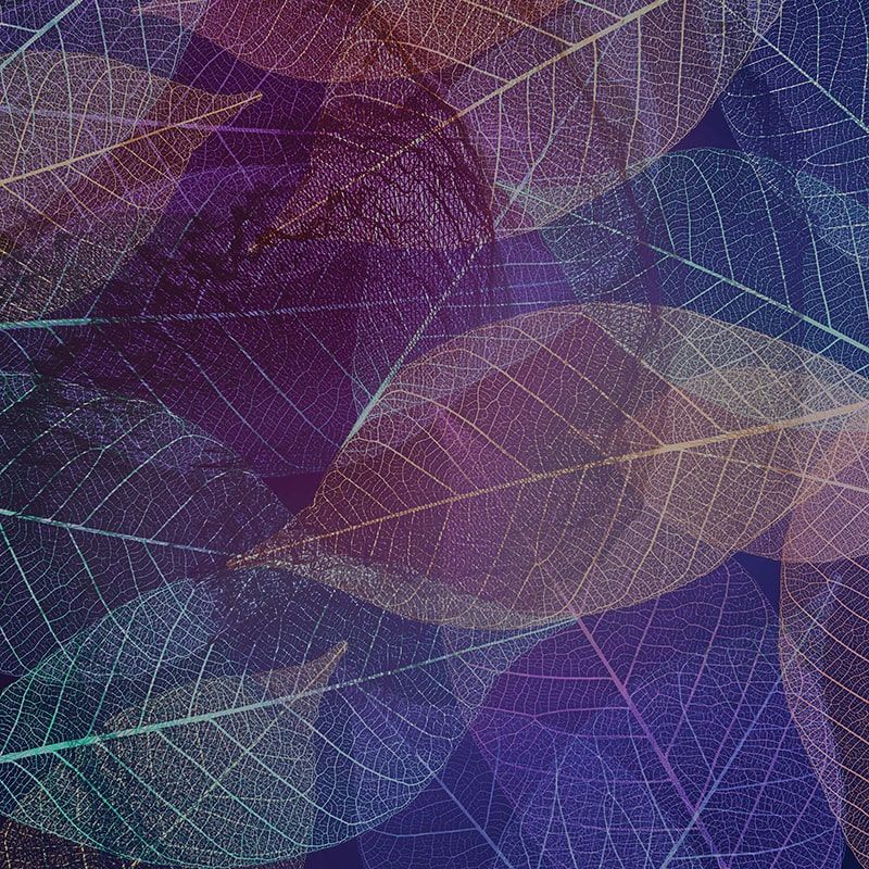 Графика ag0433c