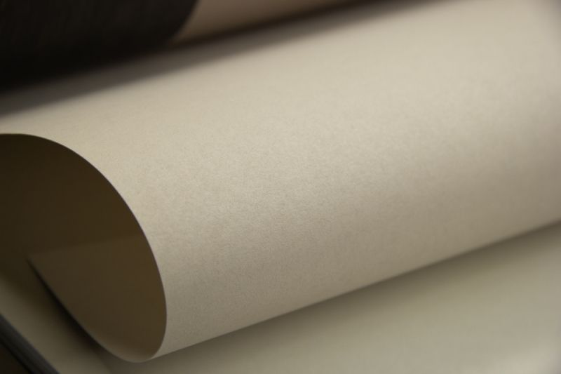 Флизелиновые обои Loymina Lotus Universe LOT2 801 метровые