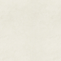 Виниловые обои на флизелиновой основе Rasch Gentle Elegance 1.06x10.05 арт.977110