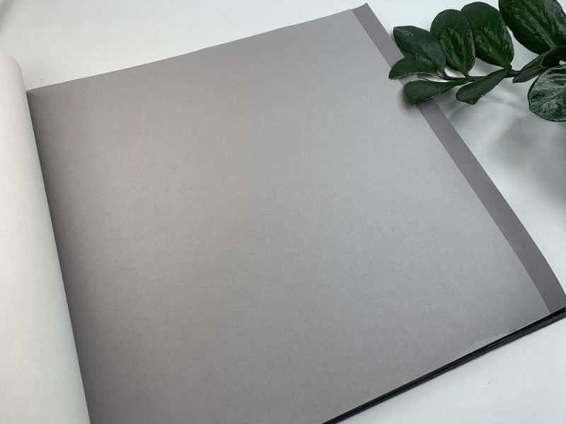 Флизелиновые обои Milassa Ambient vol.3 (Ambiplain 3) Am9 009 для спальни