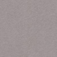 Виниловые обои на флизелиновой основе Erismann Gentle 1.06x10.05 арт.ER12211-37
