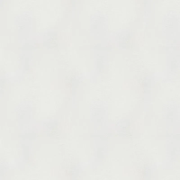 Виниловые обои на флизелиновой основе Erismann Spotlight 2 1.06x10.05 арт.ER12199-01