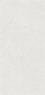 Керамогранит Simpolo Fossil 59,8х119,8