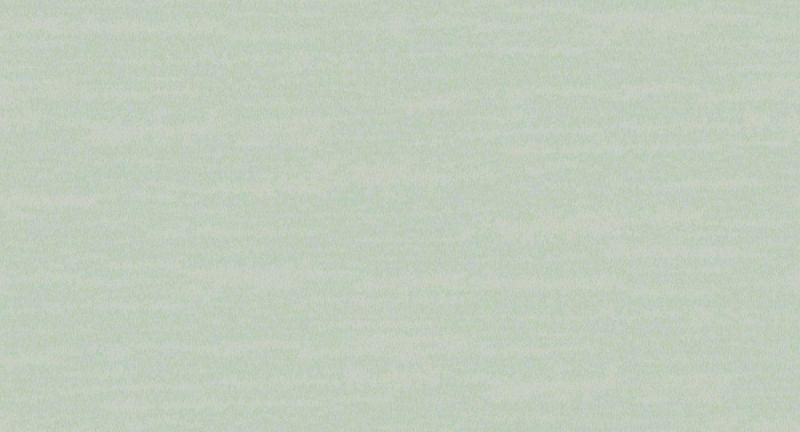 Обои INS8 006 Loymina Amazonia 1,00 x 10,05