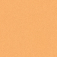 Флизелиновые обои Architects Paper Floral Impression 0.53x10.05 арт.37748-6