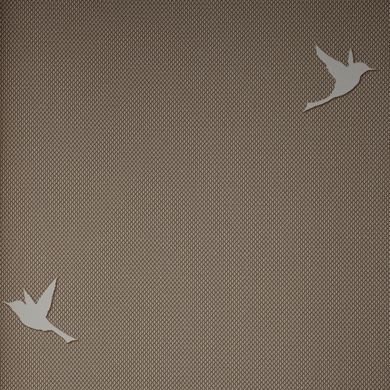 54458-13 Andrea Rossi Spectrum Box 1,06 x 10,05