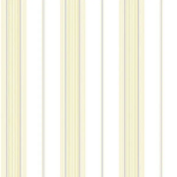 Виниловые обои на бумажной основе Aura Smart Stripes II 0.53x10.05 арт.G67578