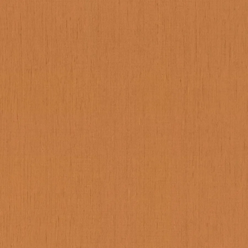 Виниловые обои на флизелиновой основе Rasch Indian Style 0.53x10.05 арт.746099